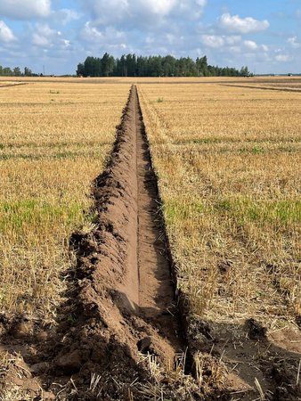 Unsere WM-Pflüger trainieren schon fleißig!